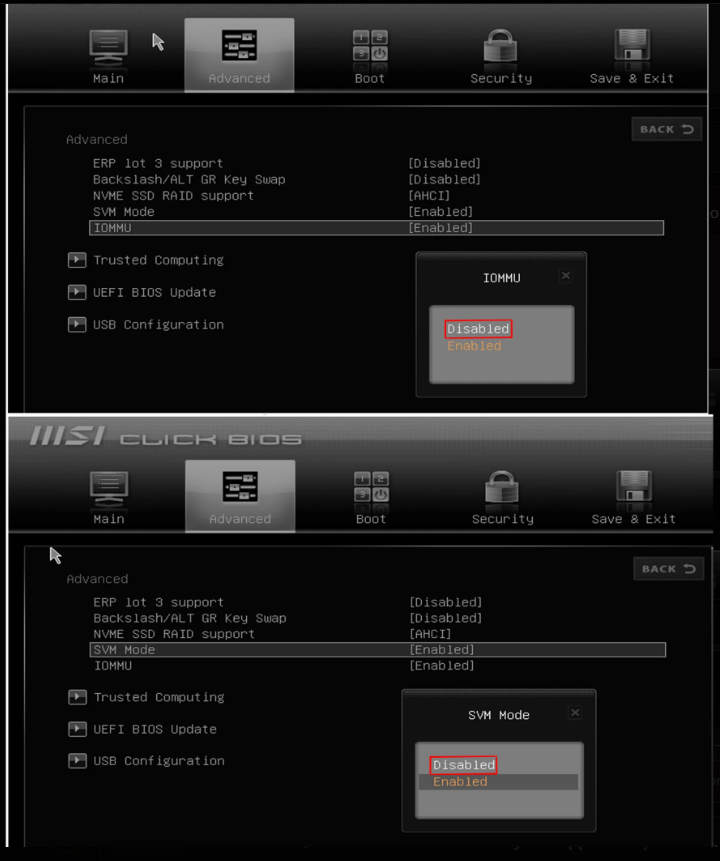 AMD BIOS IOMMU and SVM disabled